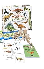 Coffret montessori dinosaures d'occasion  Livré partout en France