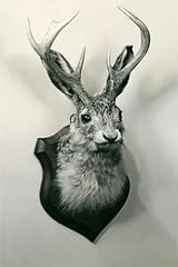 Art.com wall art for sale  Delivered anywhere in USA 