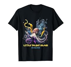 Little talbot island for sale  Delivered anywhere in USA 