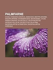 Palmfarne dioon stangeria d'occasion  Livré partout en France