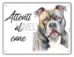 Cartello attenti cane usato  Spedito ovunque in Italia 