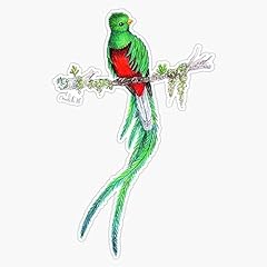 Resplendent quetzal sticker for sale  Delivered anywhere in USA 