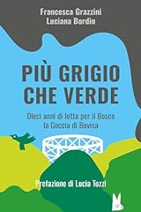 Più grigio che usato  Spedito ovunque in Italia 