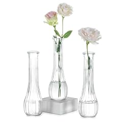 Nuptio glass bud for sale  Delivered anywhere in USA 