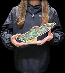Lake erie shadow for sale  Delivered anywhere in USA 