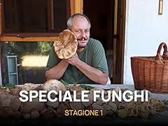 Speciale funghi usato  Spedito ovunque in Italia 