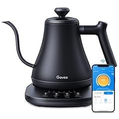 Govee smart electric for sale  Delivered anywhere in USA 