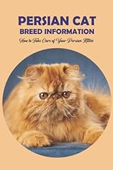 Persian cat breed for sale  Delivered anywhere in UK