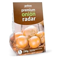 Radar winter onion for sale  Delivered anywhere in UK