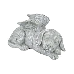 Yzzt angel dog for sale  Delivered anywhere in UK