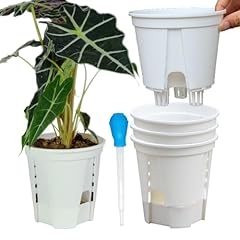 Bouqlife pack self for sale  Delivered anywhere in USA 