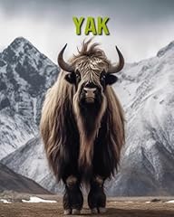 Yak fun and d'occasion  Livré partout en France