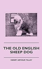 Old english sheep for sale  Delivered anywhere in USA 