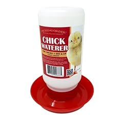 Pecking order chick for sale  Delivered anywhere in USA 