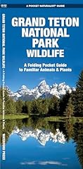 Grand teton national for sale  Delivered anywhere in UK