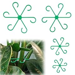 4pcs climbing houseplant for sale  Delivered anywhere in USA 