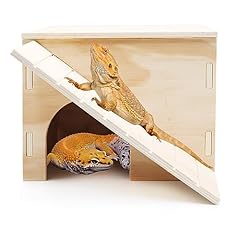 Large bearded dragon for sale  Delivered anywhere in UK