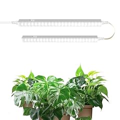 Barrina 1ft grow for sale  Delivered anywhere in UK