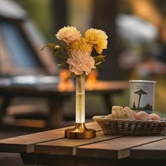 Schiele lampada ricaricabile usato  Spedito ovunque in Italia 