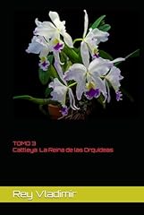 Cattleya reina las for sale  Delivered anywhere in UK