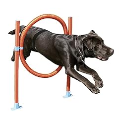 Agility hoop jump for sale  Delivered anywhere in UK