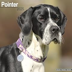 Pointer 2025 square for sale  Delivered anywhere in UK