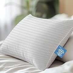 Hypoallergenic soft standard for sale  Delivered anywhere in USA 