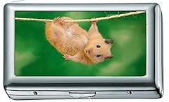 Animals funny hamsters gebraucht kaufen  Wird an jeden Ort in Deutschland