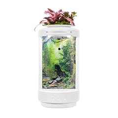 Mrzmszpet small fish for sale  Delivered anywhere in USA 