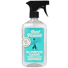 Aunt fannie purpose for sale  Delivered anywhere in USA 