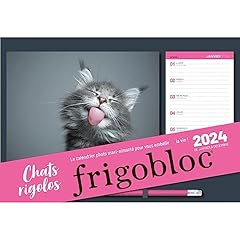 Frigobloc chats rigolos d'occasion  Livré partout en France