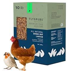 Flygrubs dried black for sale  Delivered anywhere in USA 