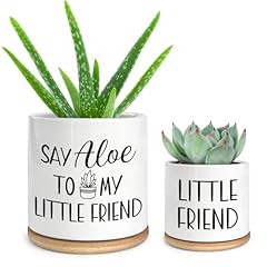 Cgvovgr say aloe for sale  Delivered anywhere in USA 