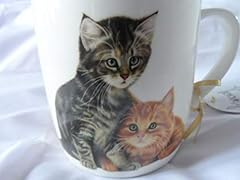 Tabby ginger cats for sale  Delivered anywhere in UK