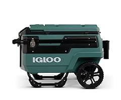 Igloo spruce quart for sale  Delivered anywhere in USA 