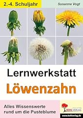 Lernwerkstatt löwenzahn wisse gebraucht kaufen  Wird an jeden Ort in Deutschland