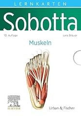 Sobotta lernkarten muskeln gebraucht kaufen  Wird an jeden Ort in Deutschland