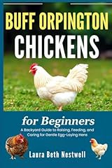 Buff orpington chickens for sale  Delivered anywhere in UK