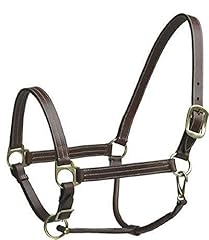 Camelot leather stable for sale  Delivered anywhere in USA 