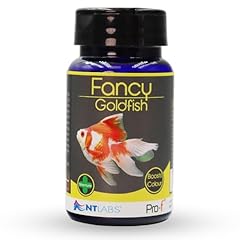 Labs pro fancy for sale  Delivered anywhere in UK