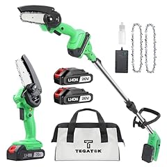 Tegatok cordless pole for sale  Delivered anywhere in USA 