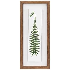 Fern leaf dragonfly for sale  Delivered anywhere in USA 