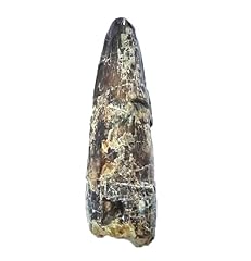 Suchomimus sp. su1 for sale  Delivered anywhere in UK