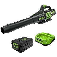 Greenworks 60v cordless for sale  Delivered anywhere in USA 