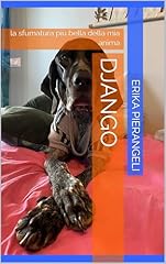 Django sfumatura più usato  Spedito ovunque in Italia 