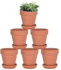 Hipothoe 10.2cm terra for sale  Delivered anywhere in UK