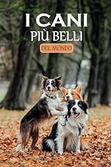 Cani più belli usato  Spedito ovunque in Italia 