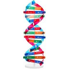 Dna modellino modellino usato  Spedito ovunque in Italia 