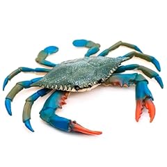 Crab bath toy for sale  Delivered anywhere in USA 