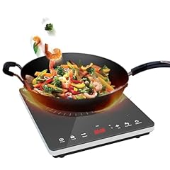 Gatffsen portable induction for sale  Delivered anywhere in USA 